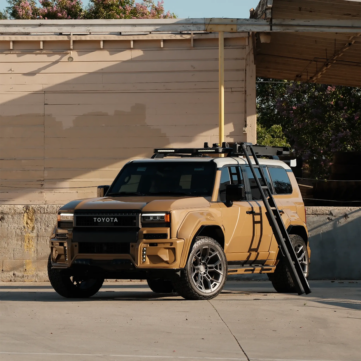 Land Cruiser 250 （2024+）